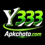 Y333 Game